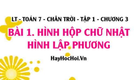 Hình hộp chữ nhật, Hình lập phương: Có bao nhiêu đỉnh, bao nhiêu cạnh, mấy đường chéo? Toán 7 chân trời Tập 1 chương 3 Bài 1